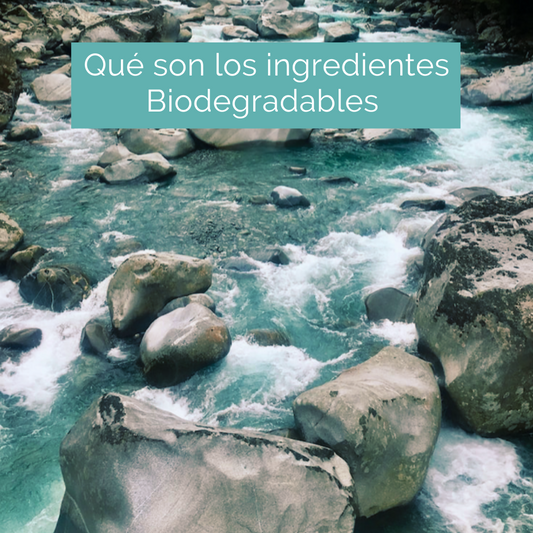 Qué son los Ingredientes Biodegradables